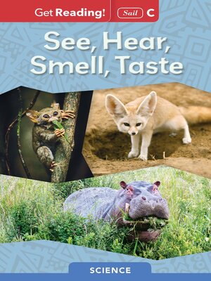 cover image of See, Hear, Smell, Taste
